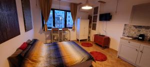 Maurice Studio