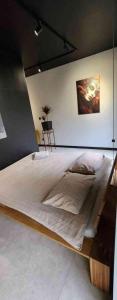 Cinema theatre design Vistula old town apartament, free parking