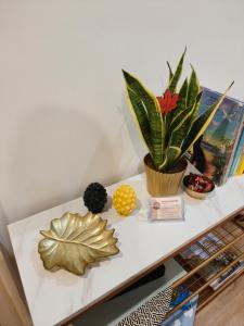 Via Lattea Vatican Apartment - Family friendly - 2 terraces