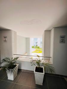 1BR 4 pax Clinica Serena del Mar Manzanillo