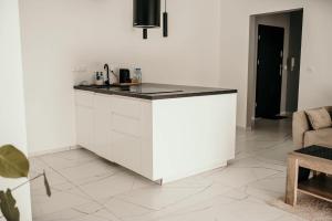 Apartament 8