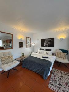 Casa Gatu Verdi-Garden Apartment with Pool