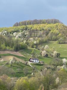 Cabana Colț de liniste