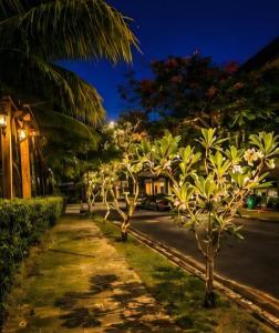 Bareka Hotel