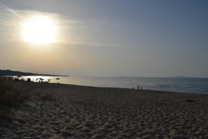 Miramare struttura sulla spiaggia img52