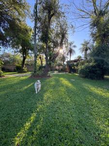 El Bosque de Don Fernando