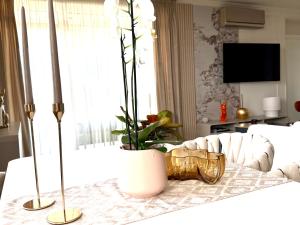 Louise Luxury - free parking