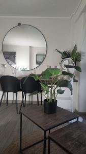 VIP Suite Antofagasta