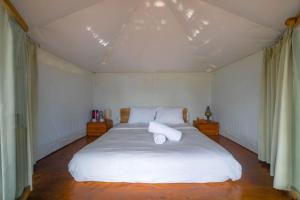 Segara Camp Kintamani