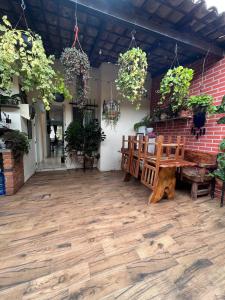 Tu refugio entre las plantas