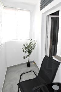 HERA WHITE Studio