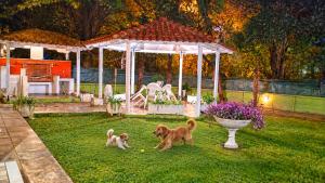 Garden House Katerini