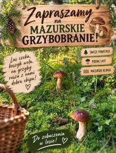 Piska Przystań