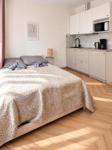 Cozy Apartment Pawlowa