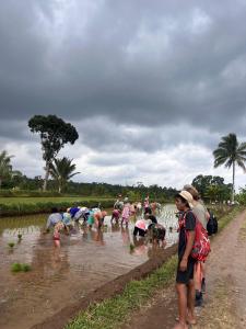 Future Retreat Homestay