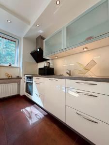 Apartament POD SAMYM LASEM