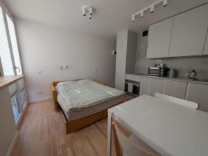 Studio near the city center