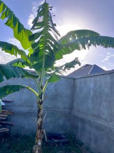 Peace wit Prosperity Homes