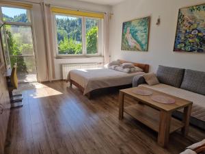 Zielona Przystań Apartament z widokiem na Pieniny