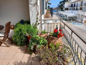 La Mejor Terraza De Tamariu