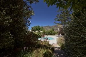 Alonia Villa, Refined Living with 50m2 Private Pool, By ThinkVilla