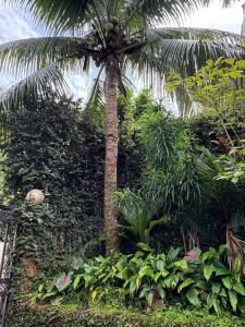 Tranquilo Assagao Studio,Forest View,Pool With Private Balcony