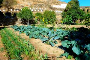 La Maison Vert Amande Kea Greece