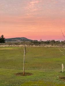 Willys Country Club Cauquenes