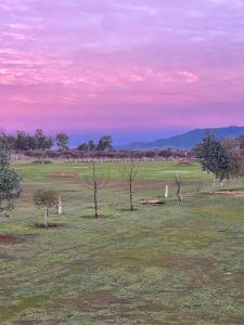 Willys Country Club Cauquenes
