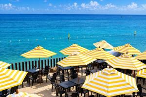 Hotel Blue Cove by On vacation