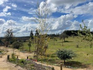 CABAÑA Willys country club Cauquenes