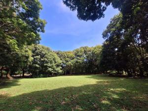 Elida Lodge Monteverde