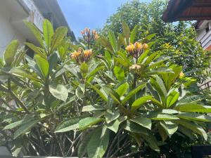 Ramra Cozy Villa
