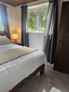 AC, Wi-Fi & Pool - Beachfront Palo Seco