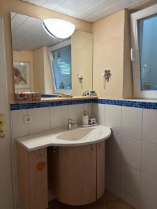Cozy apartment near Darmstadt & forest