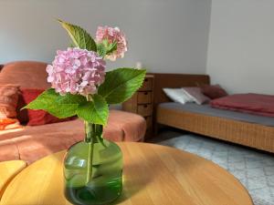 Cozy apartment near Darmstadt & forest