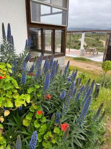 Eco Lodge Lorotuerto de Guanaqueros