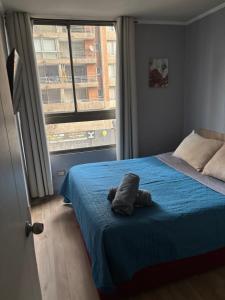 Bulnes moneda