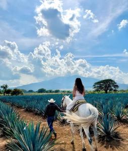 Los Laureles Casa Campo Grande Alberca Grupos Grandes Tequila