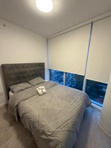 Cozy one bedroom skyview