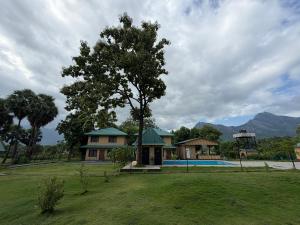 Kava Eco Camp and Caravan Park
