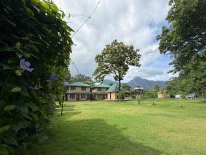 Kava Eco Camp and Caravan Park