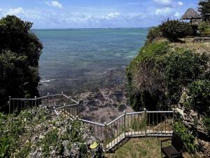 Cliff-House