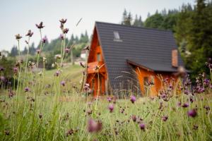 Alma Chalet