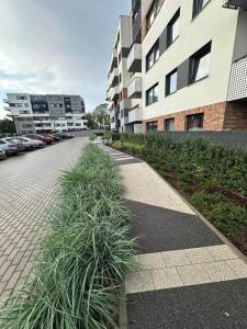 Apartament Kameliowy