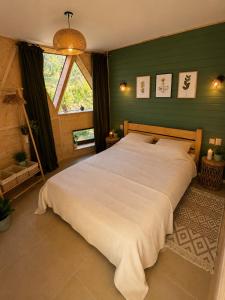 Dom Geodezic Izvoarele - Nature Retreat