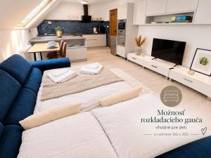 Elysian apartment 1