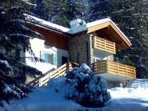 Chalet Villa Bianca - بريدازو