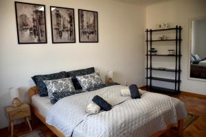 Apartman 22