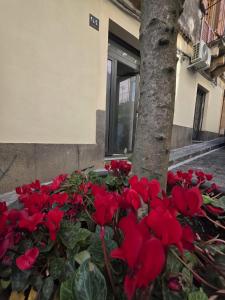 R94 Suites Acireale